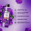 Le.X LAVENDER & VITAMIN C BODY SCRUB. (300gm) / Le.x Body Wash for Fragrant Skin/Black Orchid Scent & Juniper Oil. (245 ml)/ Combo saver pack view 4