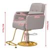 Salon Chair for Hair Stylist, Salon Chairs with Adjustable Hydraulic Pump, for Hair Stylist 360 Degrees Swivel Hair Chair Beauty Equipment,Gray,A view 2