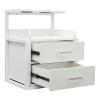 trggvvrt Salon Wall Cabinet, Wall Mounted Salon Storage Cabinet with 2 Drawers, Hair Dryer Storage Rack for Beauty Spa Barbershop (SilverWhite) view 4