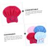 BIUDECO 4pcs Microfiber Hair Drying Caps Fast-drying Hair Wrap Towels for Women Absorbent Shower Caps Lightweight and Portable Coral Fleece Design view 2