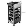 Beauty Salon Spa Styling Station Trolley Equipment Rolling Storage Tray Cart view 2