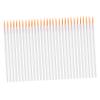 HAKIDZEL 100Pcs Disposable Eyeliner Brushes Fine Nylon Tip Makeup Applicators for Eye Makeup Professional Cosmetic Tools for Women view 1