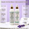 The Grecian Soap Company Goat Milk Lotion & Body Wash Set  Lavender Scent, 8oz each - Body Lotion & Face Wash, Moisturizing Skin Care Set for All Skin Types, Hydrating Skincare view 2