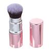 ARTSEWPLY Volcanic Stone Oil-Absorbing Makeup Brush Dual-Head Design for Easy Application Portable Facial Roller for Oily Skin Control view 1