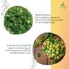Aaran'yaa Nourishing Hair Conditioner (250ml) With Methi & Shikakai | Nourish Repair and Shine Dull, Dry Frizzy & Lifeless Hair - Sulphate Free view 4