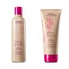 Aveda Cherry Almond Softening Shampoo & Conditioner Duo for Normal to Dry Hair | with Coconut Oil & Shea Butter | Silicone Free | 8.5 Fl Oz view 1