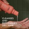 Aveda Nutriplenish Light Moisture Shampoo & Conditioner Duo | for Normal to Dry Hair | Organic Pomegranate Oil, Coconut Oil, Mango Butter | Travel Size view 2