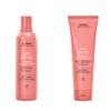 Aveda Nutriplenish Light Moisture Shampoo & Conditioner Duo | for Normal to Dry Hair | Organic Pomegranate Oil, Coconut Oil, Mango Butter | 8.5 Fl Oz view 1