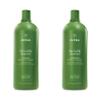 Aveda Be Curly Advanced Shampoo & Conditioner Duo | for Curly, Coily, Wavy Hair | Fights Frizz | Silicone Free, Sulfate Free | Liter Size view 1