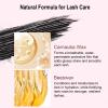 2PCS Lengthening Black Mascara for Fine Short Lashes & Older Women  Quick-Drying, Smudge-Proof & Waterproof, Natural-Looking Length, Dual-Sided Brush, Swivel Brush Handle, Glides to Every Lash Angle view 4