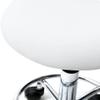 Seodradow Rolling Stools Stool On Wheels Rolling Swivel Salon Stool, Hydraulic Beauty Tattoo Gas Lift Boot Chair with 5 Wheels(Color:Bianco) view 3