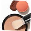 ARTSEWPLY Portable Refillable Makeup Brush for Women Multi-functional Face Powder Brush Blush Highlighter Applicator Easy to Clean Compact Use view 2