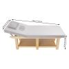 CNCEST Wide Massage Bed, 0-45 Backrest Adjustment Physical Treatment Bed, Spa Facial Beds for Beauty, Hairdressing, Spiritual Treatment, Rehabilitation 75 x 32 x 24in (Grey) view 3