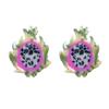 Mini Pitaya Hair Clips,Novelty Acetate Hair Clip,Mini Acetate Claw Clips for Women view 1