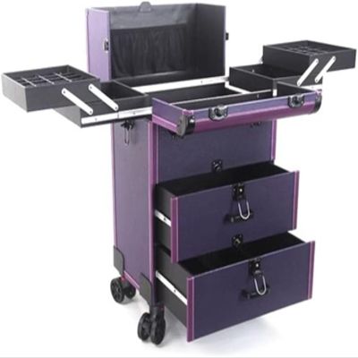LemNin Professional Rolling Makeup Case Cosmetic Tool Storage Organiser, with A Drawer, On Wheels with 2 Drawers Lockable(Purple)