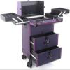 LemNin Professional Rolling Makeup Case Cosmetic Tool Storage Organiser, with A Drawer, On Wheels with 2 Drawers Lockable(Purple) view 1