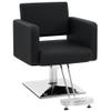 BarberPub Classic Styling Salon Chair for Hair Stylist, Barber Chair with Hydraulic Pump, Beauty Barbershop Salon Spa Equipment 3805 (Black) view 1