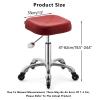 Adjustable Rolling Stool,Swivel Saddle Stool with Wheels,Chairs Support Ergonomic for Salon Clinic Lab Office Home Studio(with backrest 1) view 2