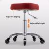 Adjustable Rolling Stool,Swivel Saddle Stool with Wheels,Chairs Support Ergonomic for Salon Clinic Lab Office Home Studio(with backrest 1) view 3