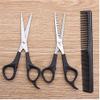 3-Piece Set of Barber Scissors, Hair Salon Cutting, thinning, Hairdressing Tools, Hair Comb view 1