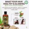 HIGH SUPREME Shampoo Romero, Sbila & Canela + Acondicionador de Bergamota  16.9 fl oz each  Premium Nourishing Hair Care Set  Nutre y Revitaliza  Natural Shine & Strength  For All Hair Types view 4