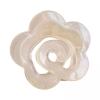 6 Pack Shark Hair Clips for Women, Non-Slip Ponytail Barrettes for Long Thick Hair, Acrylic Hair Clamps view 1