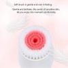 3-in-1 Electric Facial Cleansing Brush with 3 Brush Heads, Rechargeable Spin Face Brush for Deep Cleansing, Exfoliation and Gentle Massage(B) view 4