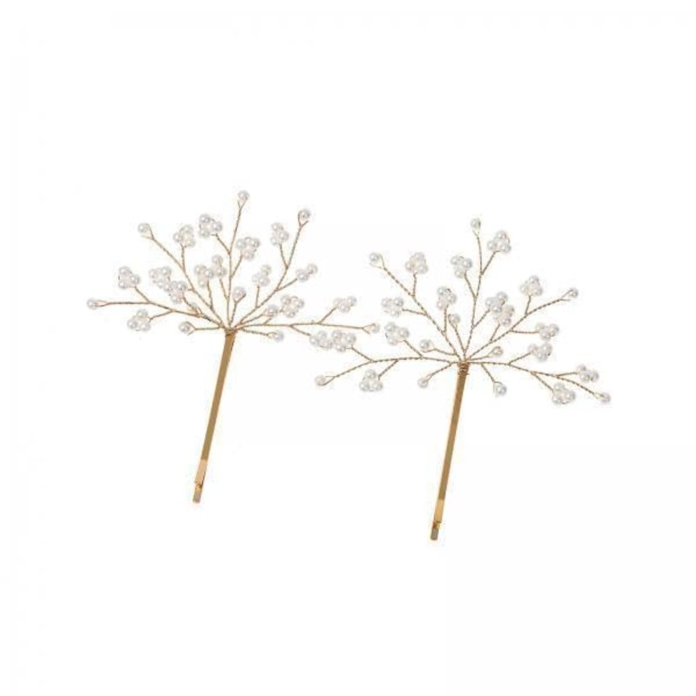 2 Pack Elegant Hair Clips for Women, Alloy Barrette Hairpins for Girls, Party Hair Accessories