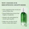 Aloderma Aloe Face Moisturizer Set, 3 Pieces - Hydrating Moisturizer, Firming Lotion, Brightening Face Lotion view 4