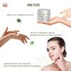 Mitc'hell US'A Night Therapy Anti Aging Night Cream Reduces Wrinkles, Hydrates Skin & Improves Skin's Texture Lotus Seeds Extract, Brahmi Extract & Cocoa Butter for Unisex All Skin Type, 50g view 3