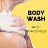 Golden Goat Farms Christmas Pine & Apple Scented Body Wash with Goat Milk, 16 Oz (2 Pack) view 3