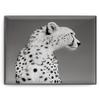Chantecaille, Luminescent Eye Shade, Elephant view 2