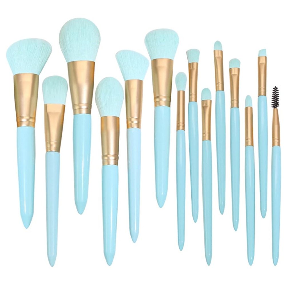 TEOYETTSF Makeup brush set 14 pieces of light full set powder eye shadow brush multi-function beauty tools