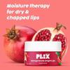 Pomegranate Lip Scrub for Dry Chapped Lips, Brightening Treatment with Cocoa Butter and Vitamin E, 15g view 4