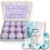 EvolutionUSA Lavender Bath Bombs for Women and Inspire Breathe Shower Steamers, Shower & Bath Gift Set for Women, Beautiful Lavender Bath Bombs Natural, Shower Bombs Eucalyptus & Mint view 1