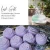 EvolutionUSA Lavender Bath Bombs for Women and Inspire Breathe Shower Steamers, Shower & Bath Gift Set for Women, Beautiful Lavender Bath Bombs Natural, Shower Bombs Eucalyptus & Mint view 3