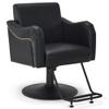 BarberPub Salon Chair for Hair Stylist, Black Hydraulic Styling Barber Chair for SPA&Home Salon, Barbershop 9434 view 1