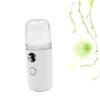 Portable Mini Moisturizing Nano Spray Mist Sprayer for Skin Indoor Use view 4