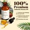 Vital Strands Batana Oil for Hair Growth  100% Pure & Organic Botana Oil from Honduras  Strengthens, Thickens & Restores Natural Hair  Cold Pressed Raw Scalp & Hair Treatment for Men & Women  60ml view 3