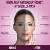 Himalayan Antioxidant Boost Jelly Mask -Professional Grade Hydro Glo Peel Off Mask for Skin Hydration, Glow Suitable for All Skin Types, Vajafacial Jelly Mask | 12 Applications (30 Fl Oz) view 4