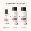 ALFHEIM Argan Repairing Shampoo, Conditioner & Oil 3-Pcs Set, Sulfate-Free & Paraben-Free, Argan Oil, Keratin & Niacinamide for Dry, Damaged, Color-Treated Hair, Hydrating, Strengthening & Anti-Frizz view 3