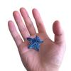 Tiny Ocean Animals Hair Clips,Novelty Acetate Hair Clip,Small Starfish Claw Clips for Women,Pack of 2,Blue view 3