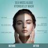 Sea Moss Algae Jelly Mask - Professional Grade Hydro Glo Peel Off for Skin Hydration, Soothing Glow - Suitable for All Skin Types, Vajafacial Jelly Mask | 12 Applications (30 Fl Oz) view 3