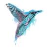 #034Nature#034 Temporary Tattoo Blue Amp Pink Hummingbird view 1