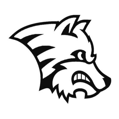 10 Wolf Temporary Tattoo School Mascot Cheerleader Face Tats