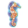 #034Nature#034 Temporary Tattoo Yellow Seahorse Amp Starfish view 1