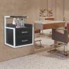 LyeXD Suspended Salon Station for Hair Stylist, Wall Mounted Styling Salon Station Storage Cabinet w/2*Drawers &Hair Dryer Stand,Floating Nightstand Stylist Storage Cabinet for Home (Black+ Silver) view 1