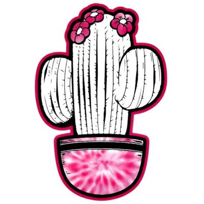 #034Pink Amp Black#034 Temporary Tattoo Cactus Amp Flowers In Tie-Dye Pot