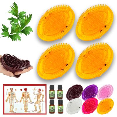 2 Pairs Meridian Brush Massage Body Brush, 2025 New Beauty Salon Professional Custom Meridian Brushs, Full Body Relaxation Comb for Circulation, Portable Handheld Shower Brushs Set (Orange)