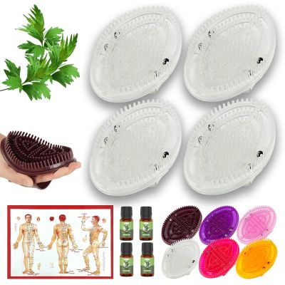 2 Pairs Meridian Brush Massage Body Brush, 2025 New Beauty Salon Professional Custom Meridian Brushs, Full Body Relaxation Comb for Circulation, Portable Handheld Shower Brushs Set (White)